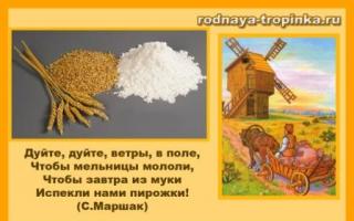 Summary of the OD lesson in the preparatory group: Pantry of the wind