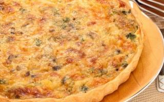 Pie with chicken and mushrooms: recipes Pie with chicken and mushrooms best recipes