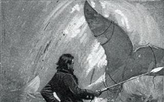 ما اختبره البحارة الذين التقوا بموبي ديك بالفعل: الحقيقة الكاملة عن الحوت المنتقم الأبيض جي ميلفيل موبي ديك